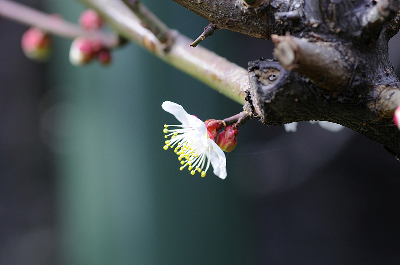 image0141