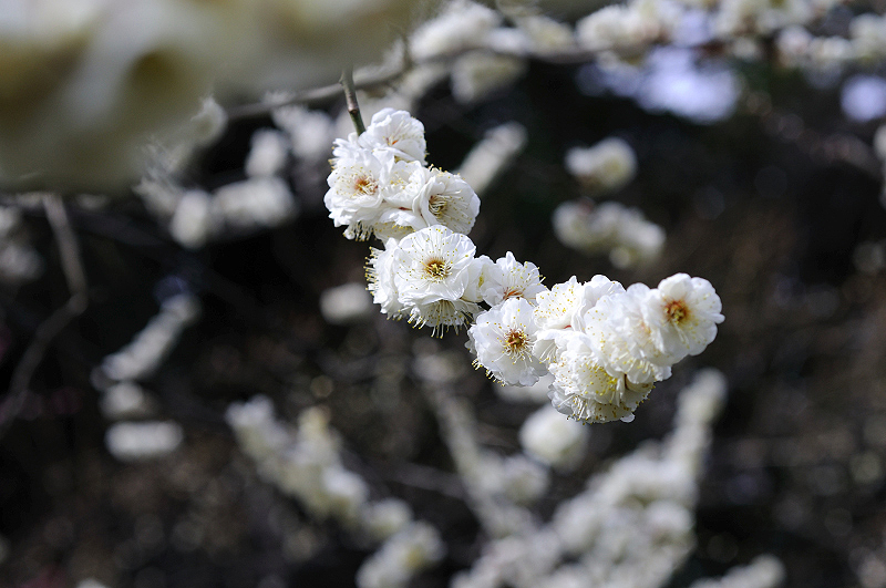 image0146
