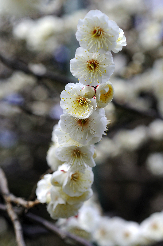 image0149