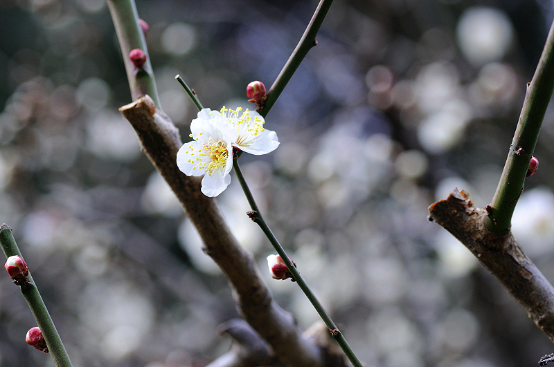 image0168