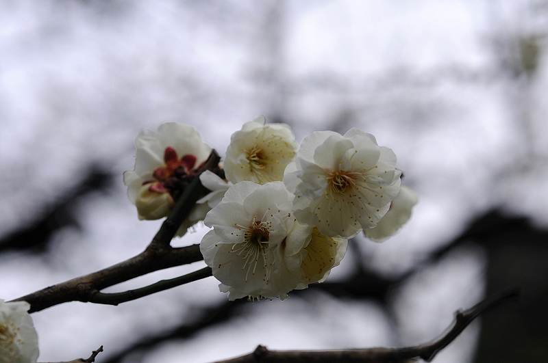 image0175