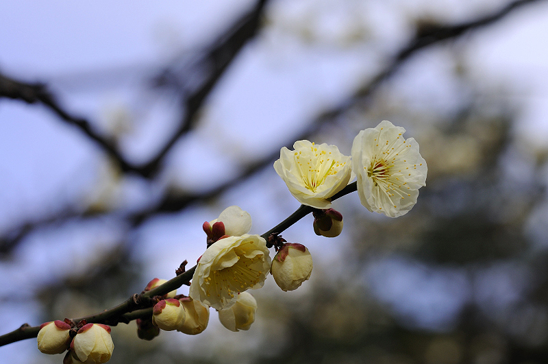 image0176