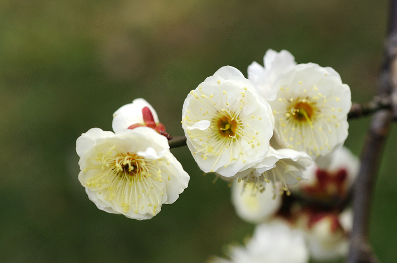 image0177