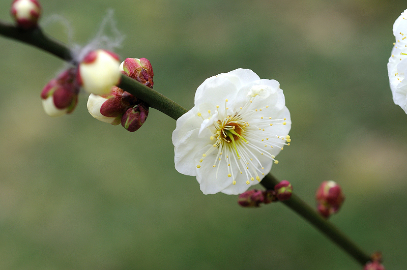 image0180