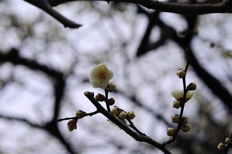 image0191