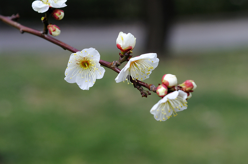 image0193