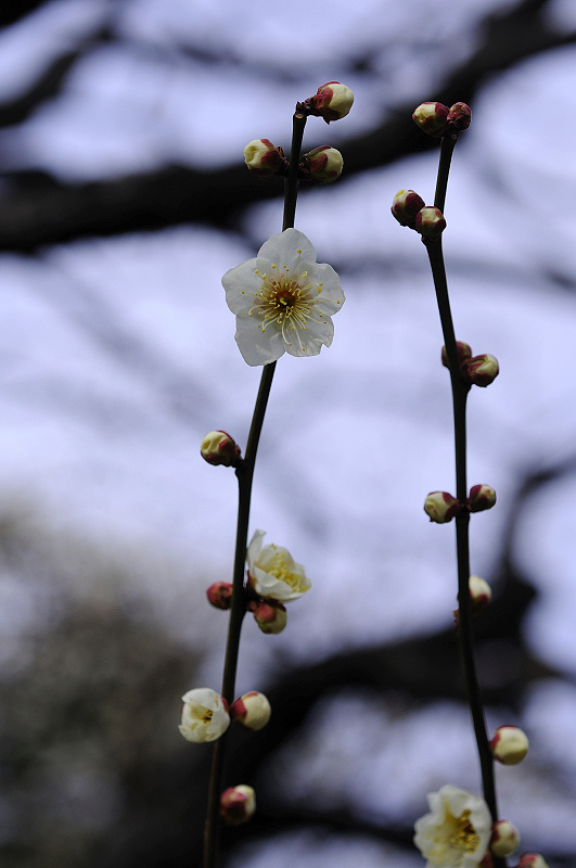 image0197