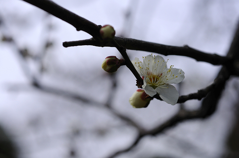 image0198