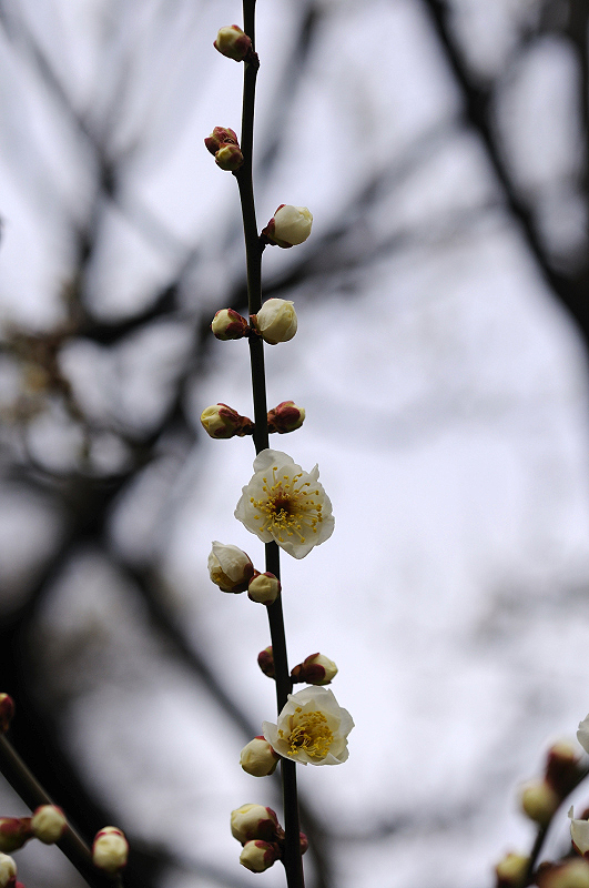image0202