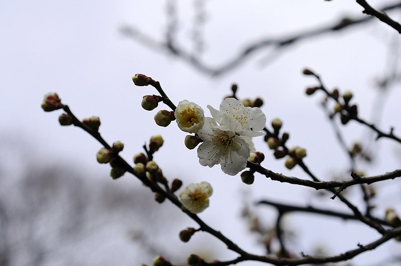 image0204