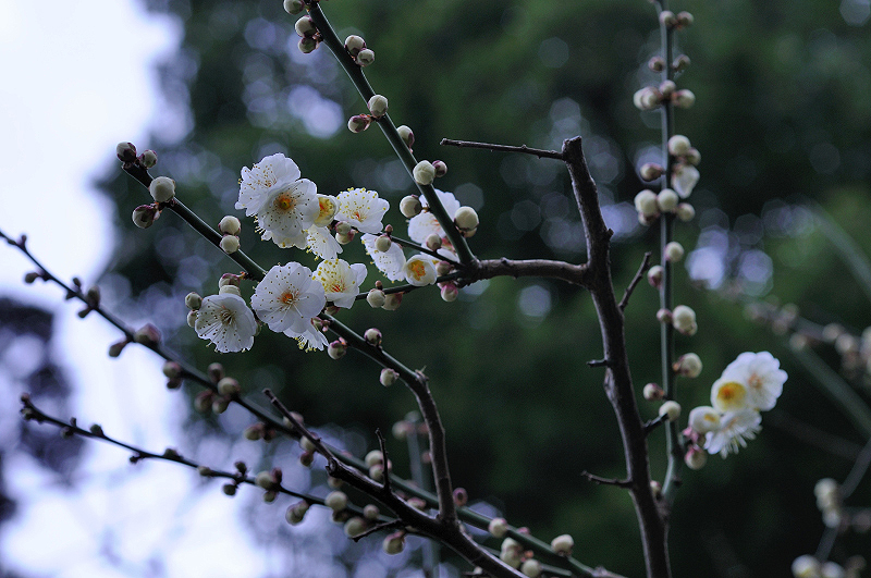 image0209