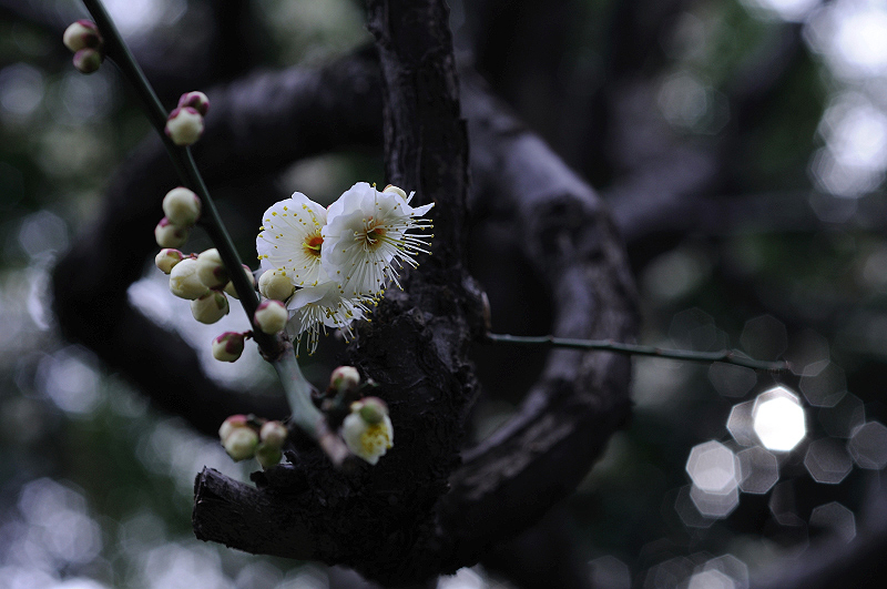 image0210