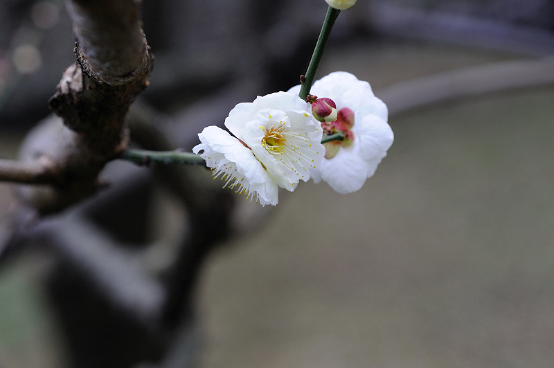 image0211