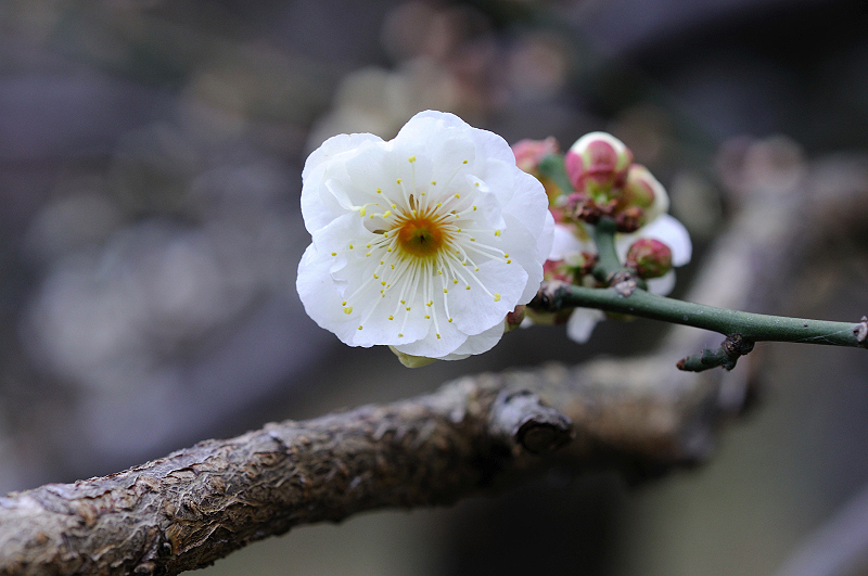 image0212