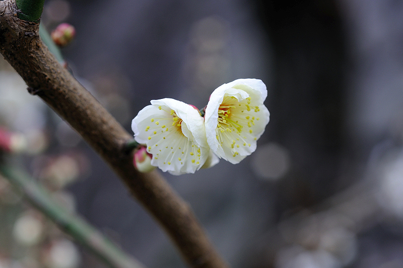 image0213