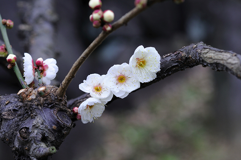 image0214