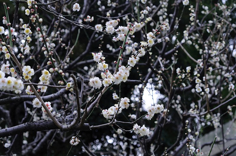 image0216