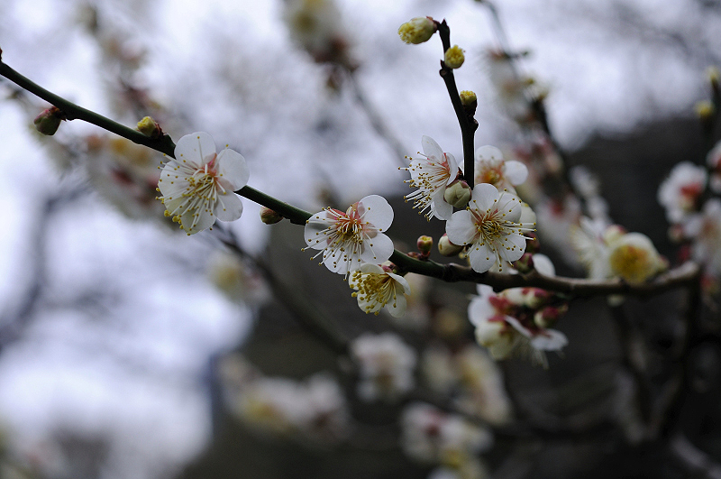 image0218