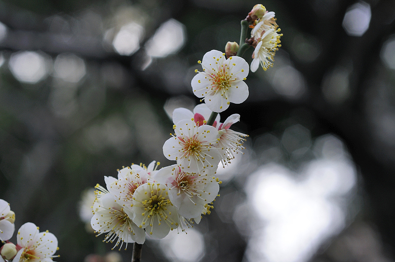 image0219