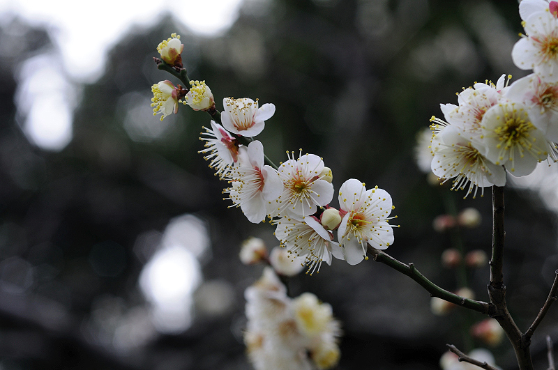 image0220