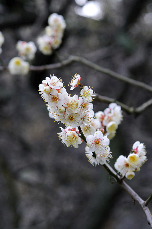 image0222