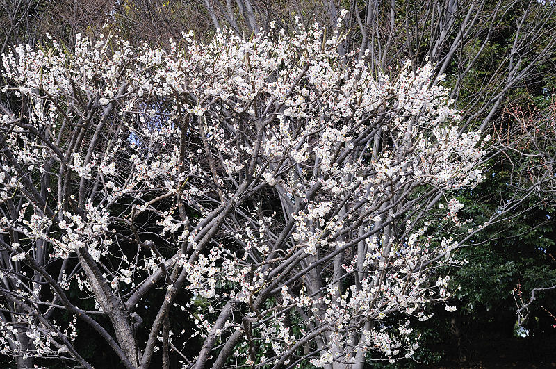 image0224