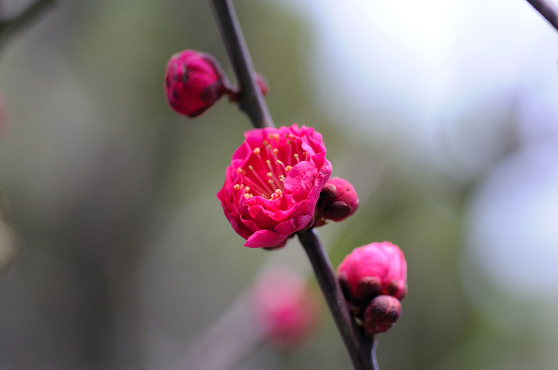 image0230
