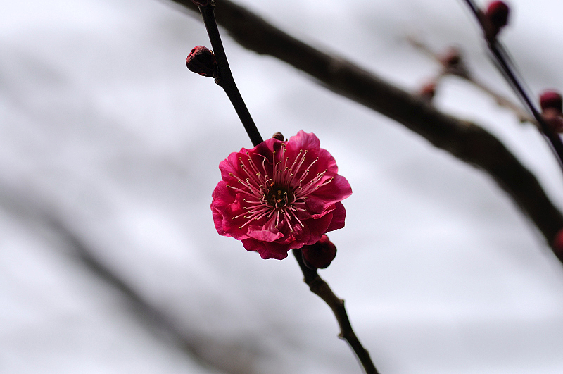 image0232