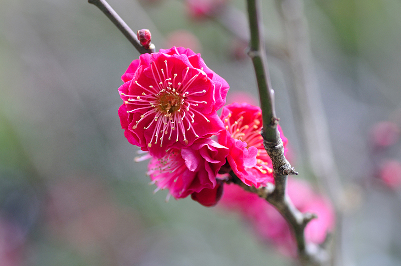 image0236