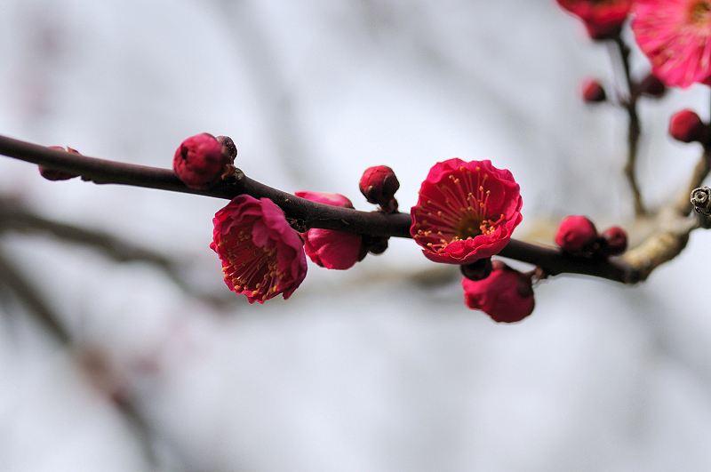 image0241