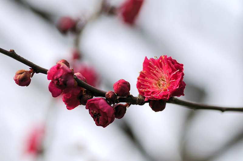 image0244