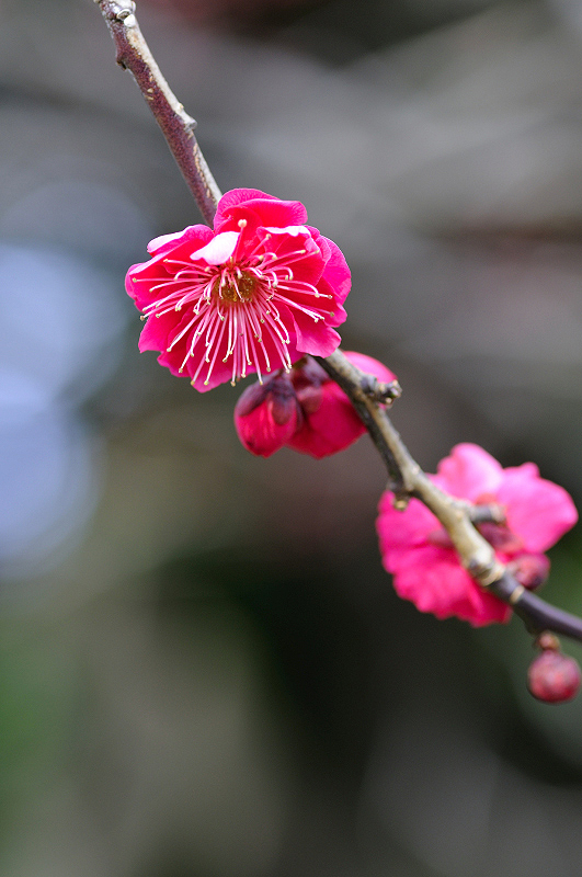 image0247