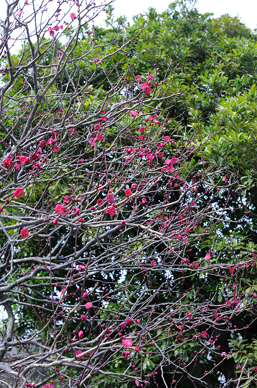 image0259
