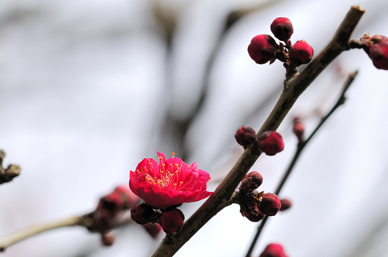 image0266