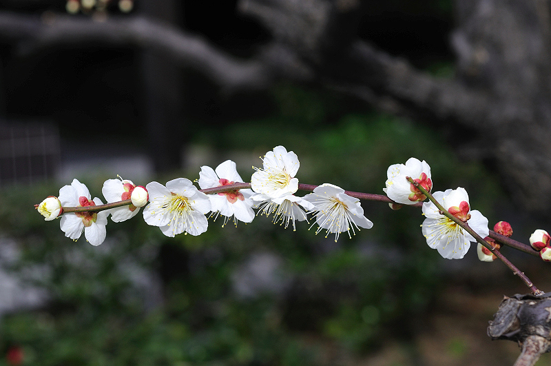 image0270