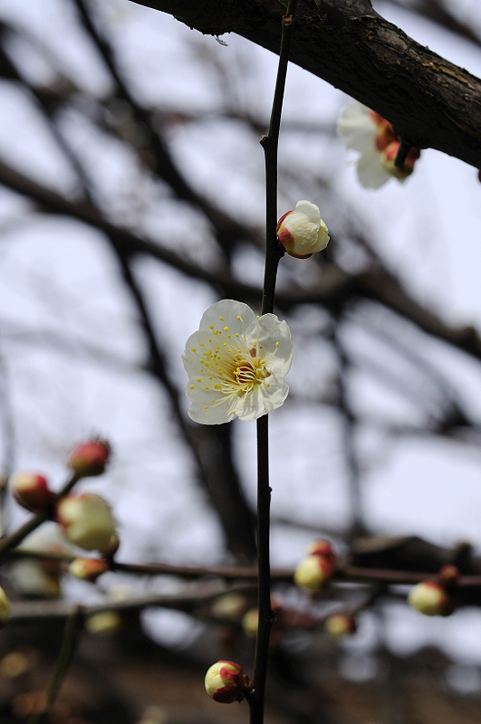 image0271