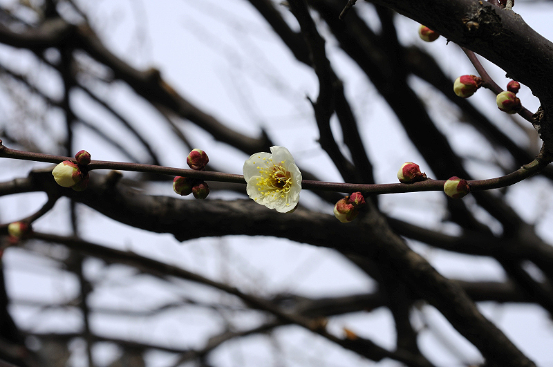image0272