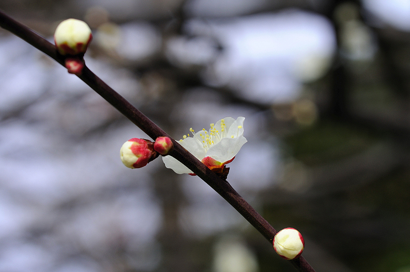 image0273