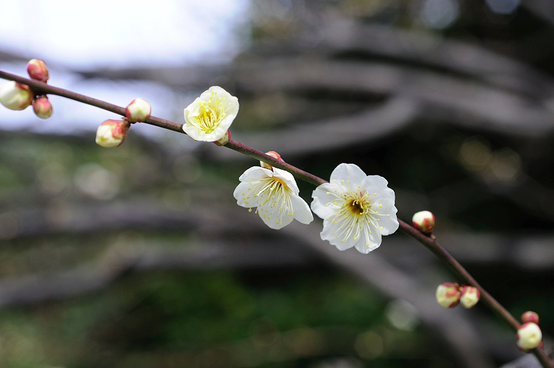 image0276