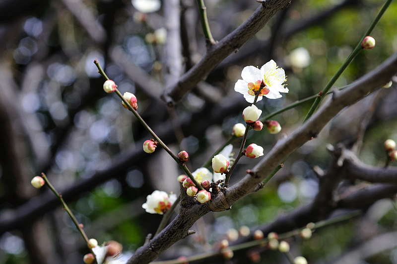 image0277