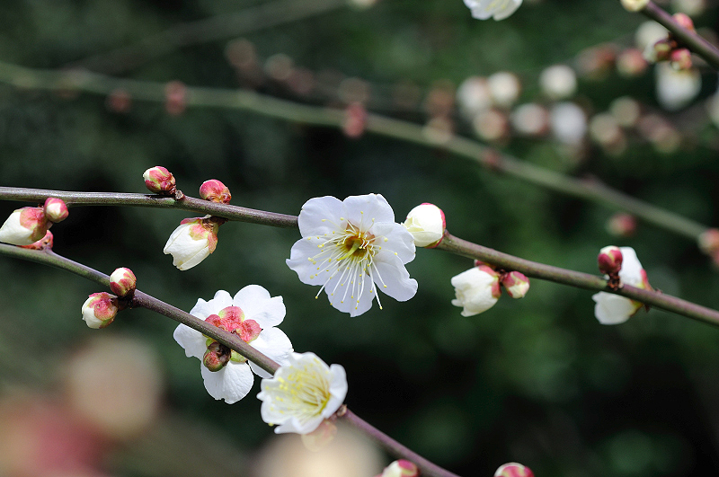 image0279
