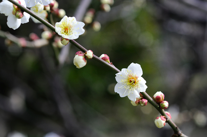 image0281