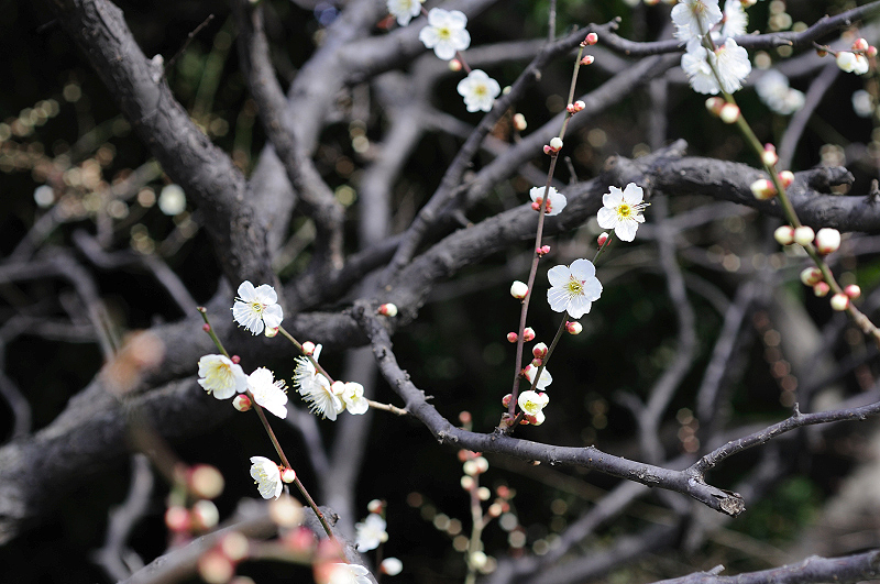 image0283