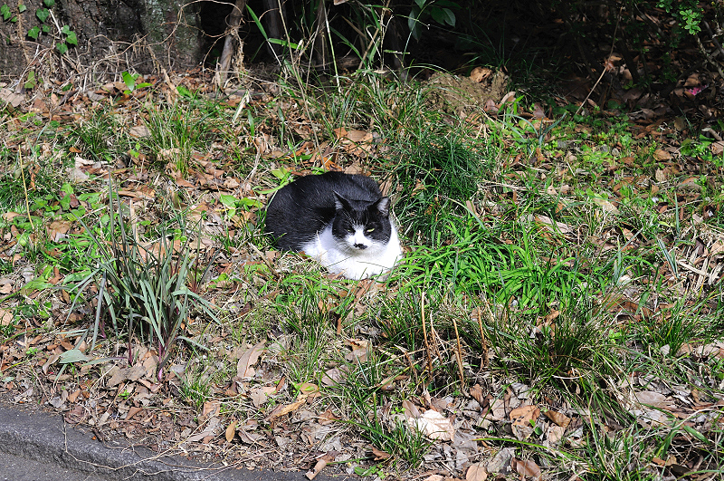image0285