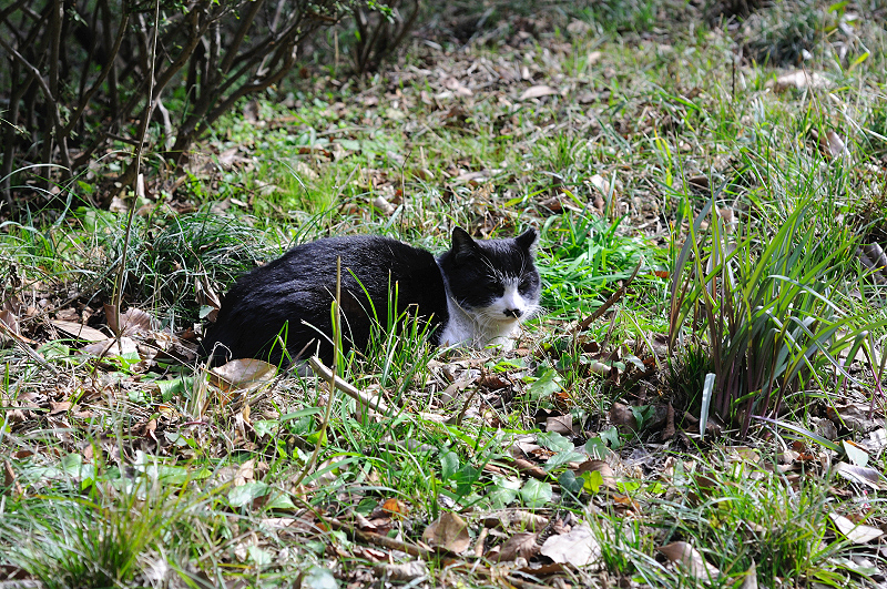 image0286