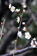 image0129