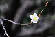 image0132