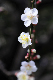 image0134