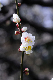 image0135