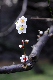 image0140
